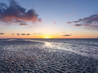 Holiday house 10 person holiday home in Blåvand - Outdoor photo 40