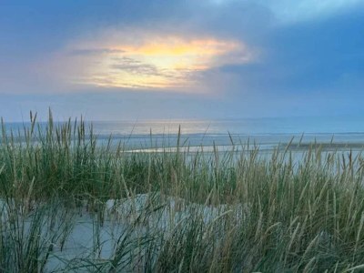 Holiday house 10 person holiday home in Blåvand - Outdoor photo 46