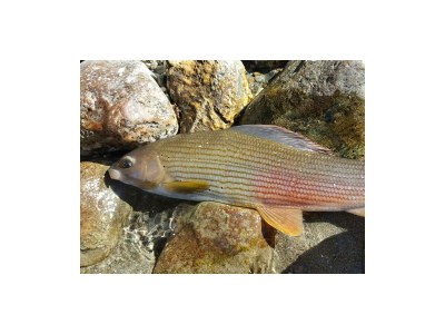 Holiday room Doppelzimmer, Dusche, WC - Outdoor photo 6