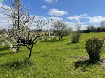 Holiday apartment Rhein Traum 5a - Outdoor photo 7