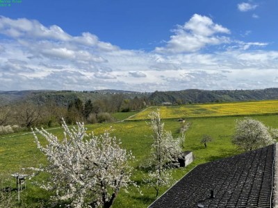 Holiday apartment Rhein Traum 5a - Outdoor photo 9