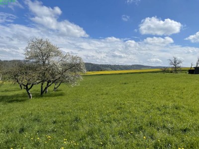 Holiday apartment Rhein Traum 5a - Outdoor photo 10