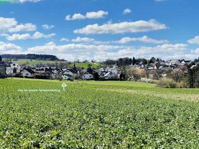 Holiday apartment Rhein Traum 5a - Outdoor photo 11