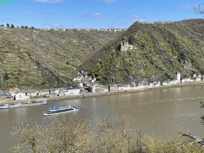 Holiday apartment Rhein Traum 5a - Environment photo 29