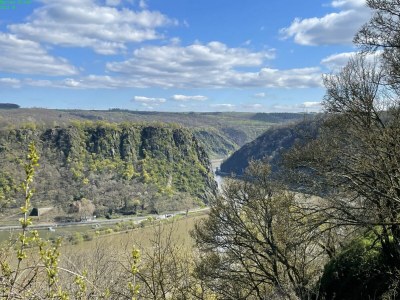 Holiday apartment Rhein Traum 5a - Environment photo 31