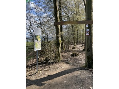 Holiday apartment Rhein Traum 5a - Environment photo 32