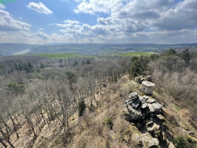 Holiday apartment Rhein Traum 5a - Environment photo 33