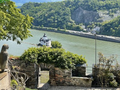 Holiday apartment Rhein Traum 5a - Environment photo 34