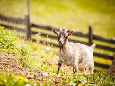 Holiday apartment LIN - Environment photo 18