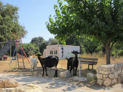 Villa Villa in Prines with White Mountains View - Environment photo 42