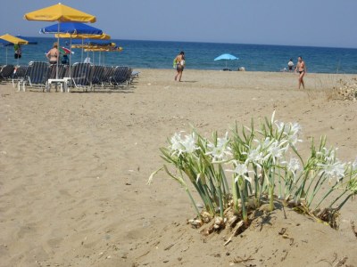 Villa Villa in Prines with White Mountains View - Environment photo 44