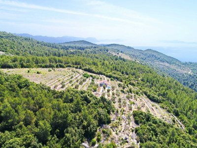 Holiday house Holiday Home Zule - One Bedroom Holiday Home with Swimming pool - Outdoor photo 31