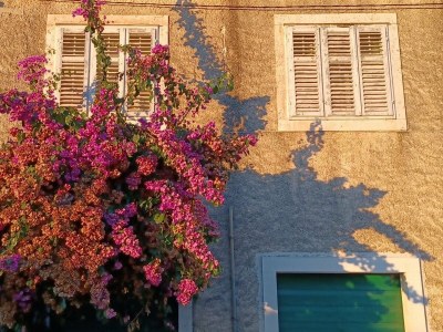 Apartment Bertie's Lodge - Four Bedroom Apartment(A4) - Outdoor photo 20