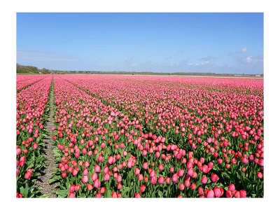 Holiday apartment Residence Juliana 42 - Environment photo 21