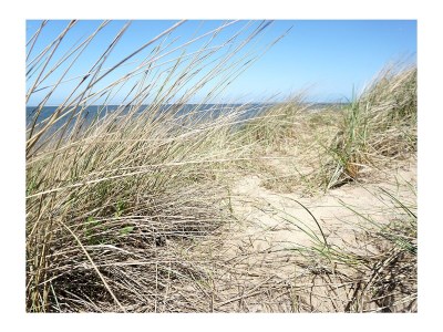 Holiday apartment Residence Juliana 42 - Environment photo 22