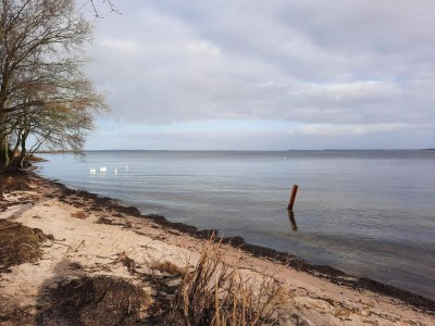 Holiday house 6 person holiday home in Højslev-By Traum - Outdoor photo 25