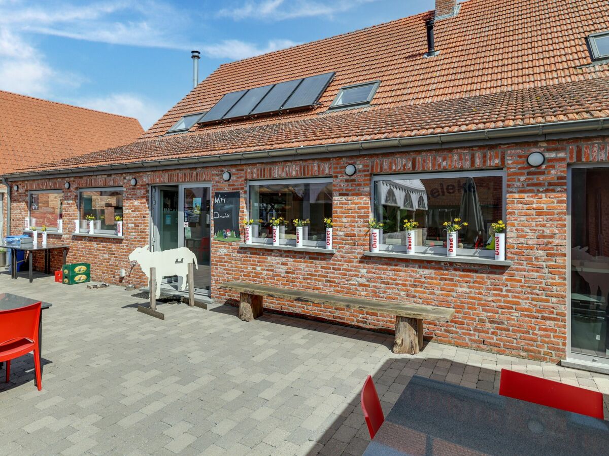 Holiday house Cottage on sheep farm with gelateria - Outdoor photo 4