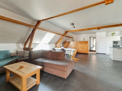 Holiday house Cottage on sheep farm with gelateria - Features photo 19