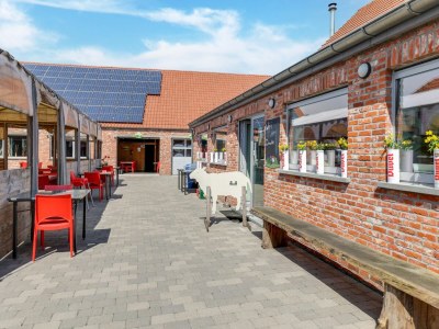 Holiday house Cottage on sheep farm with gelateria - Environment photo 36