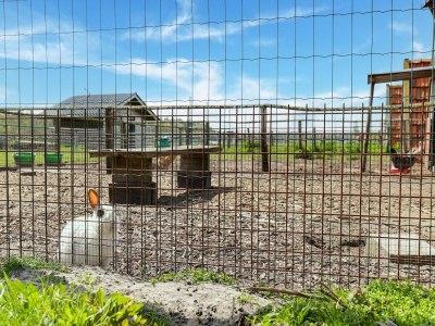 Holiday house Cottage on sheep farm with gelateria - Outdoor photo 38