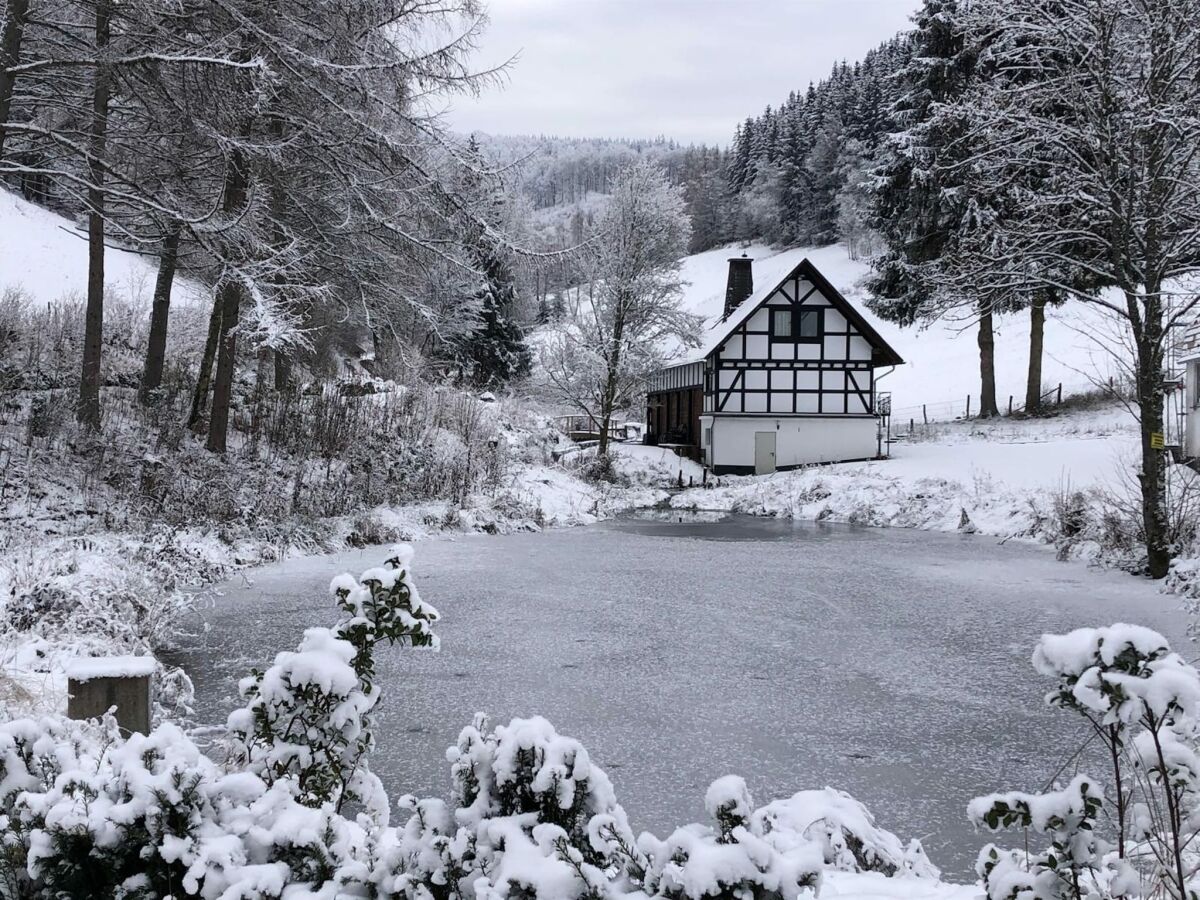 Holiday house Rückzugsort am Teich in Winterberg