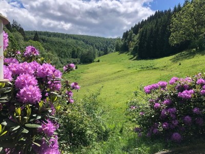 Holiday house Rückzugsort am Teich in Winterberg - Outdoor photo 2