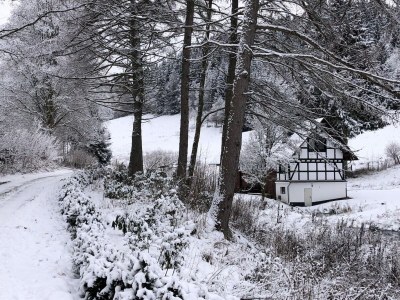 Holiday house Rückzugsort am Teich in Winterberg - Outdoor photo 5