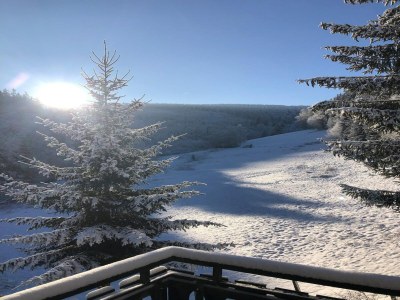 Holiday house Rückzugsort am Teich in Winterberg - Outdoor photo 8