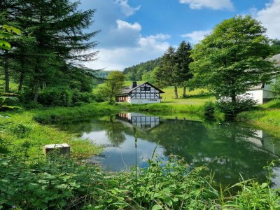 Holiday house Rückzugsort am Teich in Winterberg - Outdoor photo 9