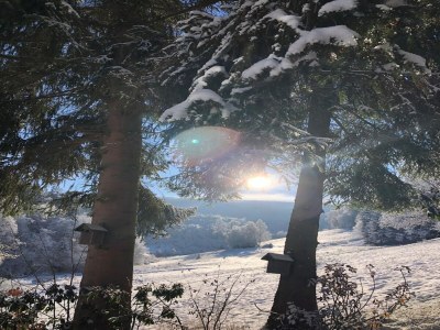 Holiday house Rückzugsort am Teich in Winterberg - Outdoor photo 11