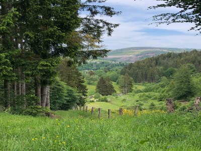 Holiday house Rückzugsort am Teich in Winterberg - Environment photo 39