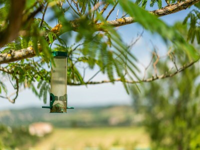 Villa Charmanter Villenaufenthalt in der Nähe von Limoux - Outdoor photo 40