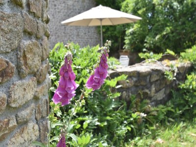 Cottage Schönes Herrenhaus mit eingezäuntem Garten - Outdoor photo 7