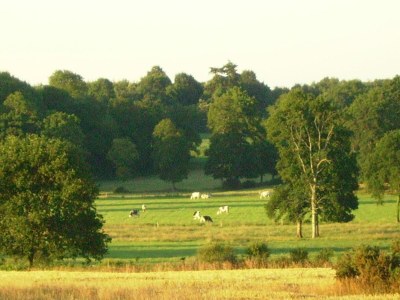 Cottage Schönes Herrenhaus mit eingezäuntem Garten - Outdoor photo 15