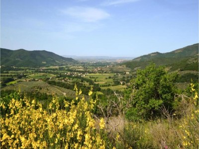 Villa Villa in Tuscany with Private Pool and Hill View - Environment photo 24