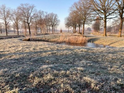 Holiday park Wellnesshaus in Brabant mit privatem Spa - Environment photo 29