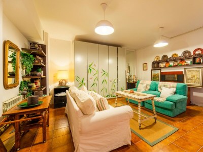 Apartment Panorama Lake and Garden - Features photo 25