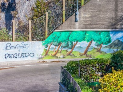 Apartment Flower House with Lake View - RS in Perledo - Apartment