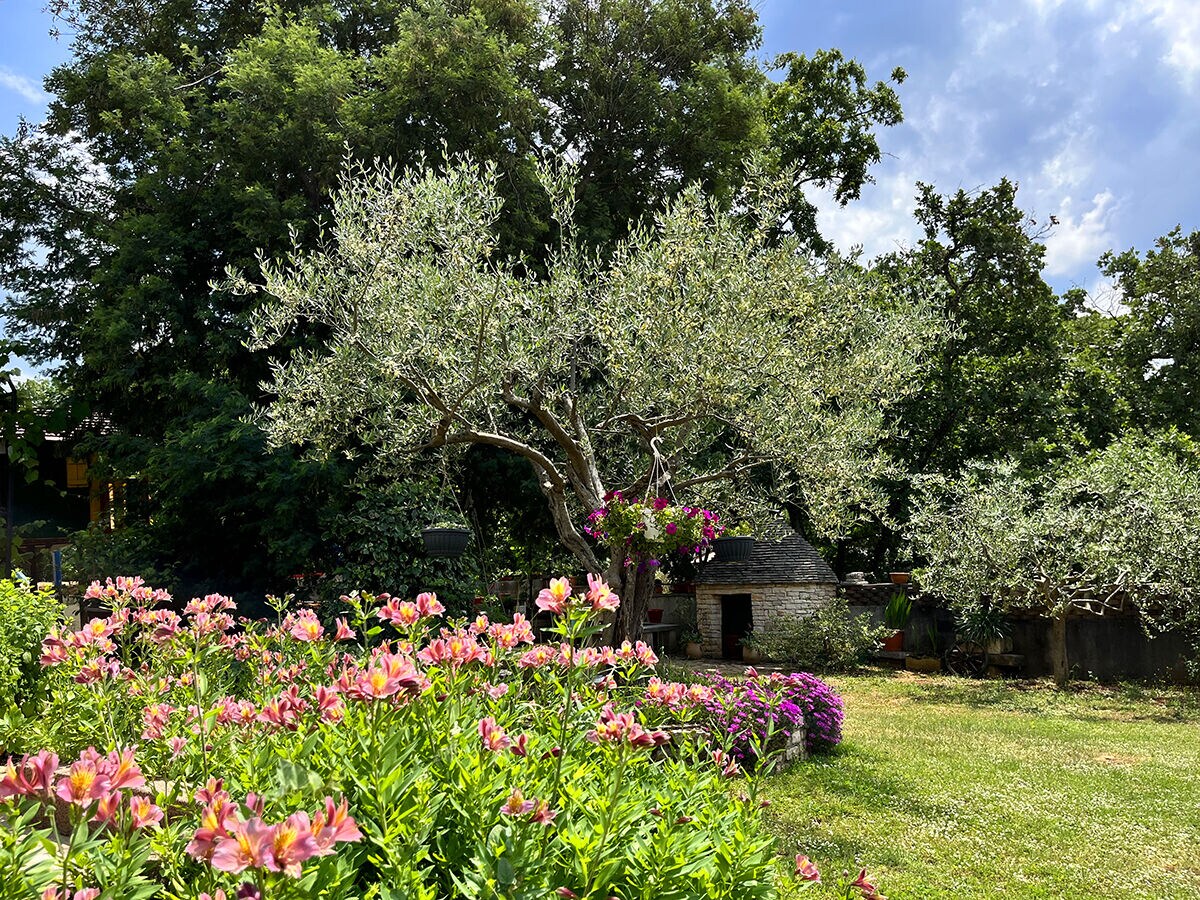 Holiday apartment Apartment Noel - Outdoor photo 3