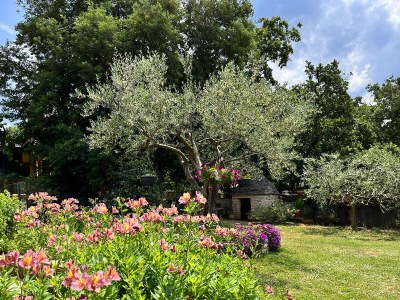 Holiday apartment Apartment Noel - Environment photo 28