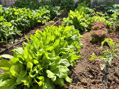 Holiday apartment Apartment Noel - Environment photo 29