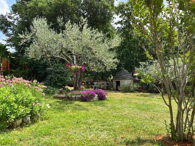 Holiday apartment Apartment Noel - Environment photo 31