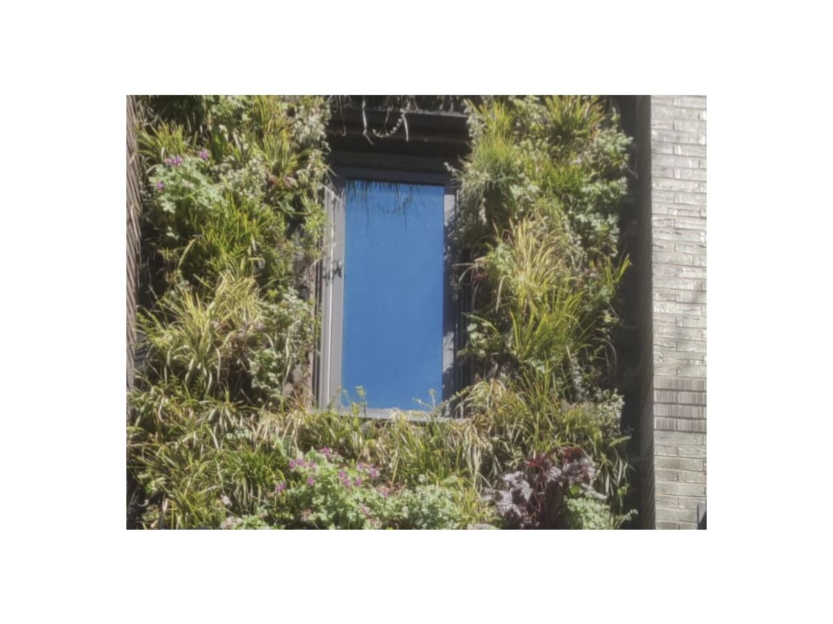 Holiday apartment Blick auf den Kanal - Outdoor photo 4