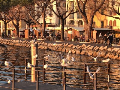 Holiday apartment Terrazza - Environment photo 31