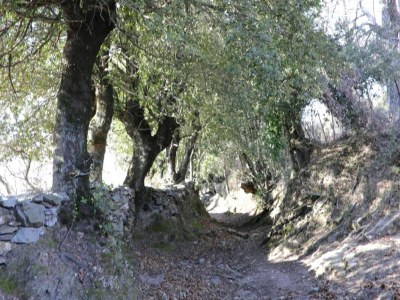 Apartment Beautiful apartment in Mazzola with sauna - Environment photo 24