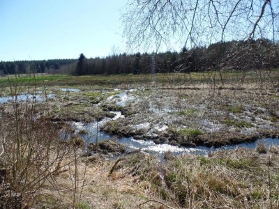 Holiday house Normandy Family Escape - Environment photo 20