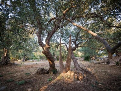 Holiday house Normandy Family Escape - Environment photo 27