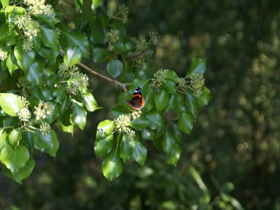 Holiday house Normandy Family Escape - Outdoor photo 54