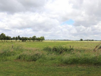 Holiday park Villa am Weerribben Park - Environment photo 14