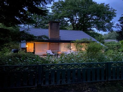 Holiday house Forest House in Appelscha near National Parks - Outdoor photo 3